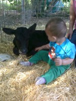 /album/fotogaleria-inicio/movil-marta-233-jpg/